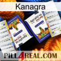 Kanagra 12